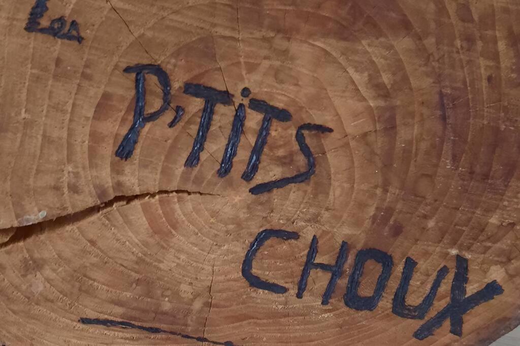 Gite Les Ptits Choux Saint-Quentin-Lamotte-Croix-au-Bailly Extérieur photo